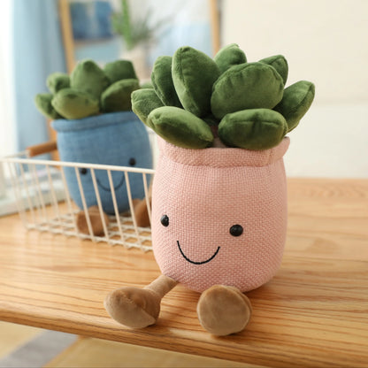 Stuffed Succulent
